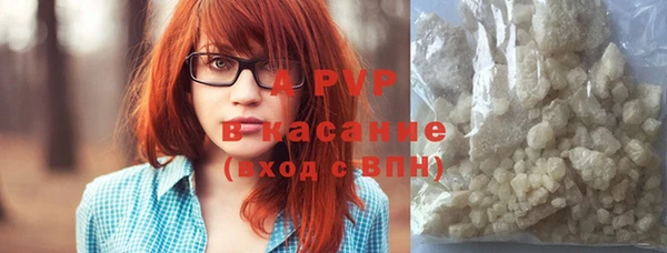 стаф Абинск