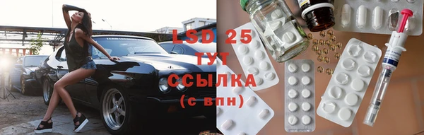 стаф Абинск