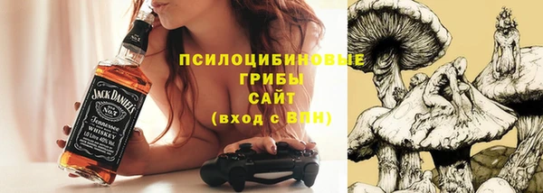 спиды Алексин