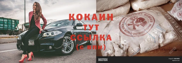 ГАЛЛЮЦИНОГЕННЫЕ ГРИБЫ Абаза