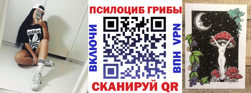 купить наркотики сайты  kraken tor  Псилоцибиновые грибы Magic Shrooms  Кимовск 